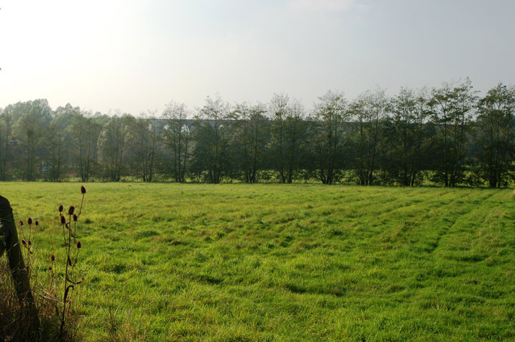 parish field